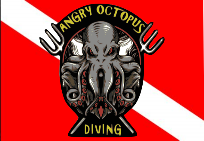 Angry Octopus Diving