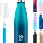 BOGI insulated stainless steel water bottle with cleaning brush, perfect for staying hydrated on boat dives.